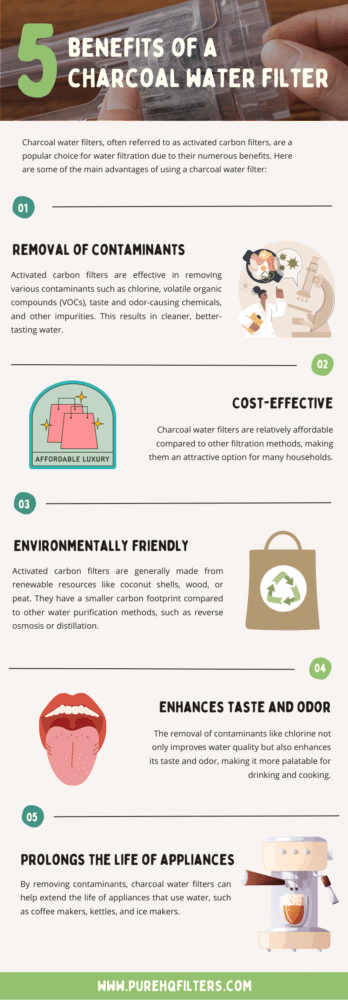 Infographic: 5 benefits of a charcoal water filter, including contaminant removal and cost-effectiveness.