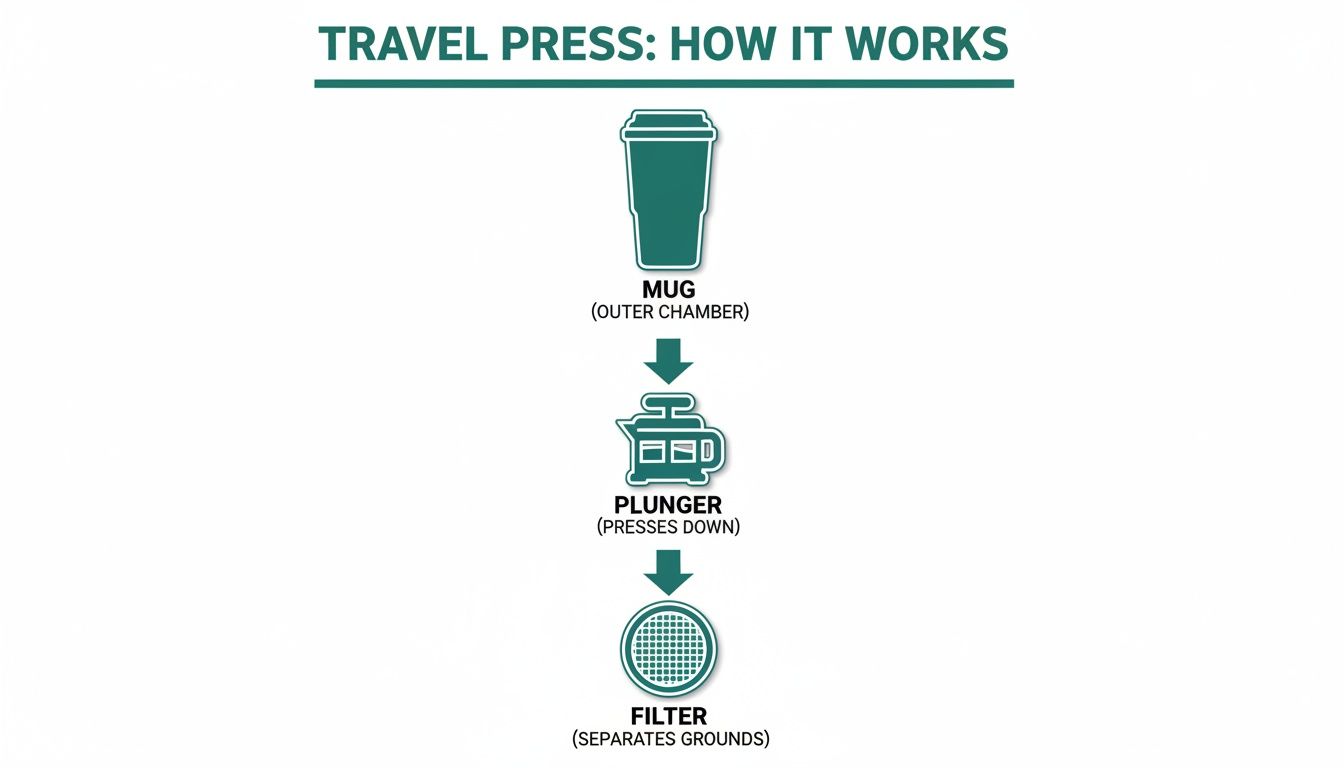 Diagram illustrating the components and function of a travel press: mug, plunger, and filter.