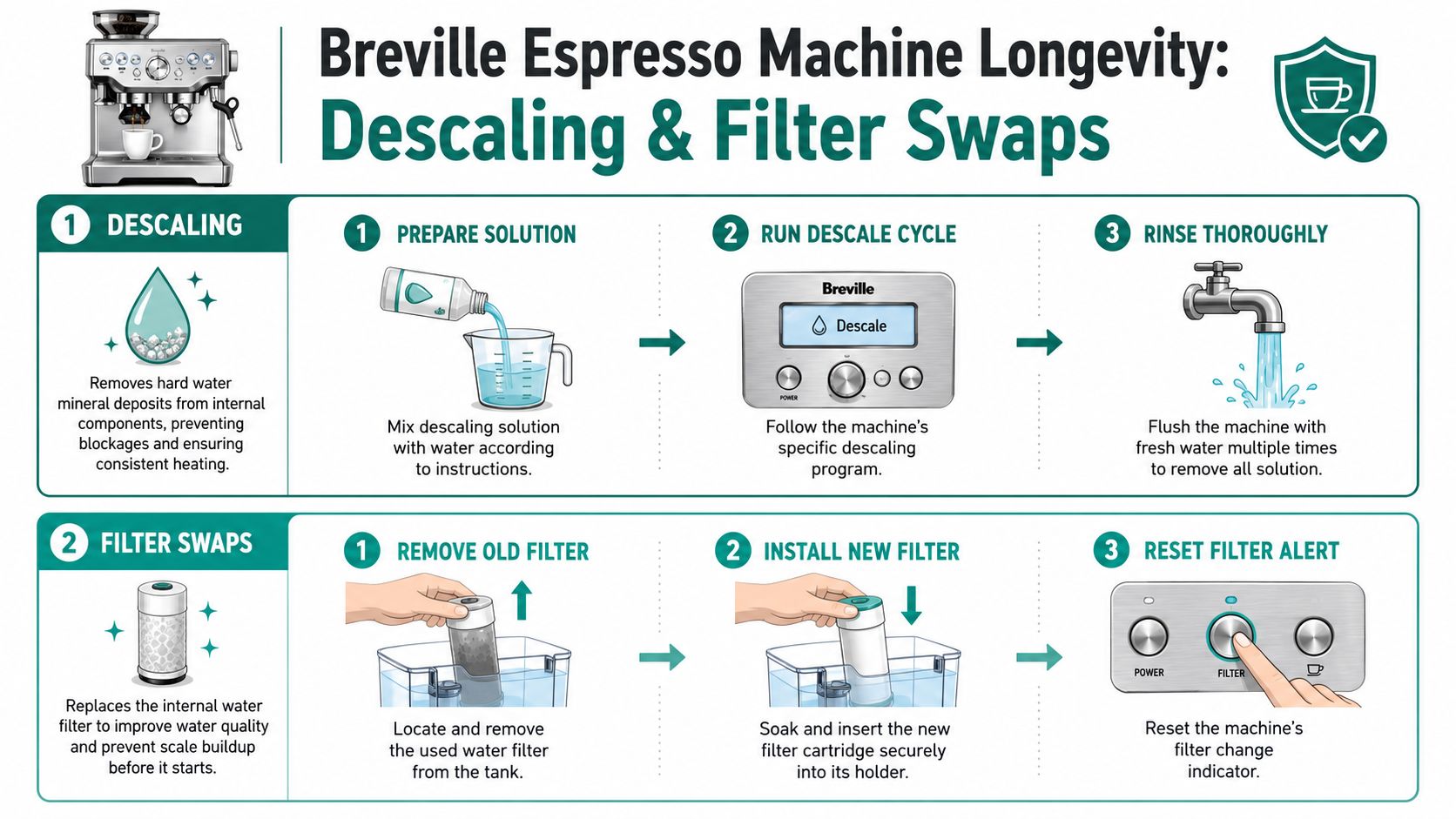 An infographic showing the steps for descaling and replacing the water filter on a Breville espresso machine.