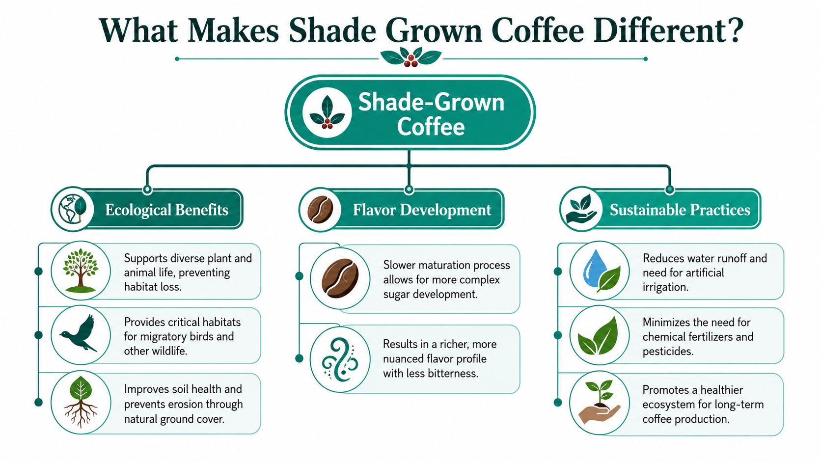 An infographic detailing the ecological, flavor, and sustainable benefits of shade grown coffee cultivation.