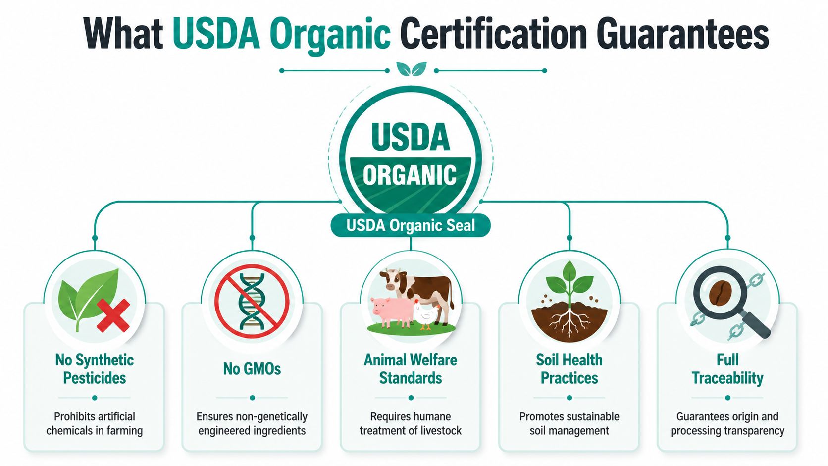 An infographic titled What USDA Organic Certification Guarantees, detailing five key benefits of organic farming standards.