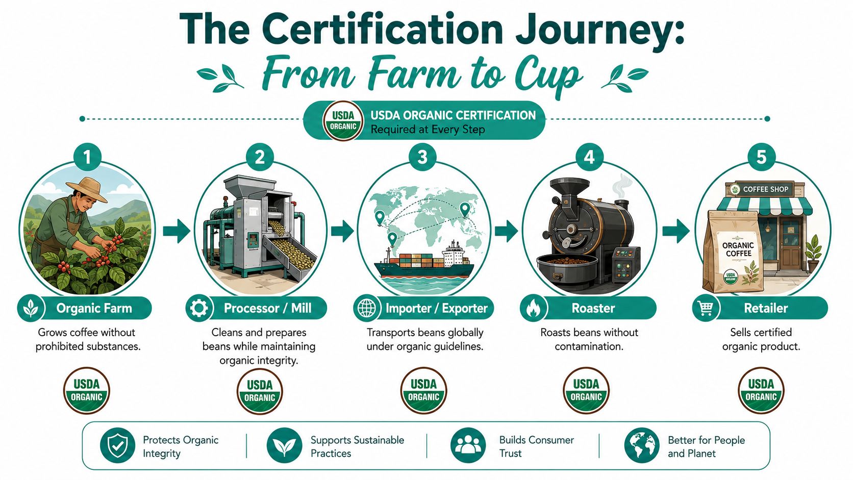 A five-step infographic showing the USDA organic certification journey for coffee from farm to cup.