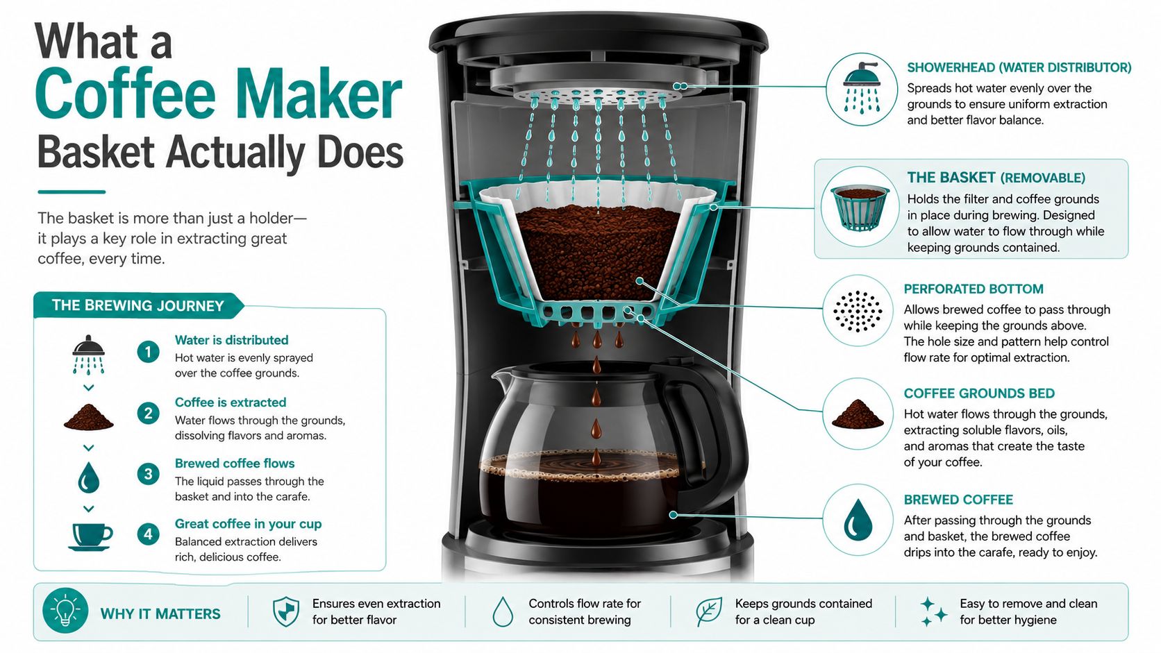 An infographic showing the internal parts of a coffee maker and how the brewing process works.