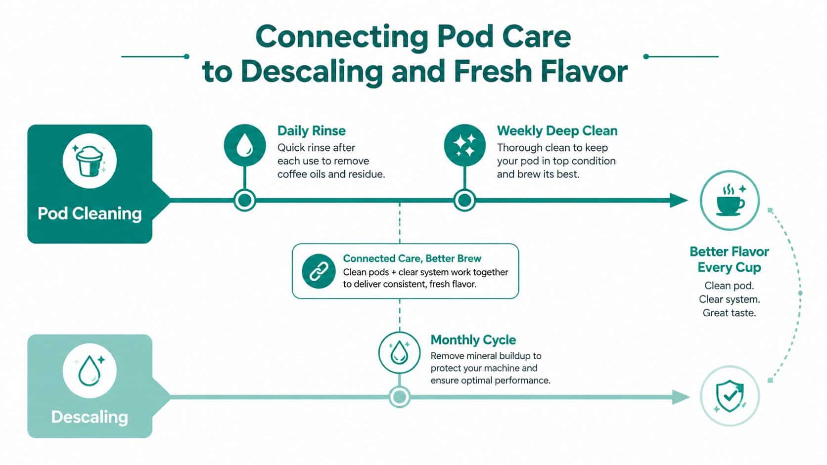 An infographic showing the cleaning and descaling process for coffee pods to ensure fresh tasting coffee.