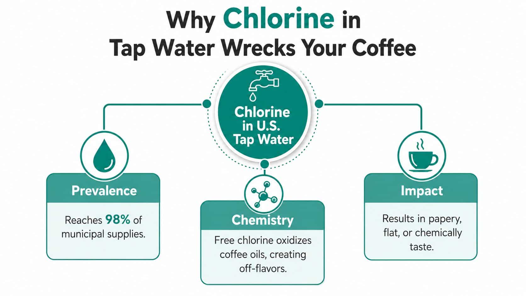 An infographic explaining how chlorine in U.S. tap water affects coffee flavor and chemical profiles.